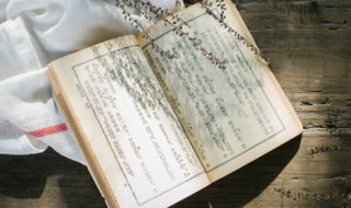 父与子带来的启示是什么 读父与子带来的启示