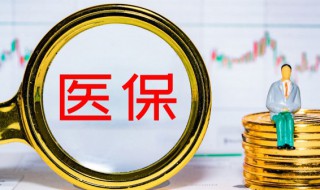 每年320元的医保怎么用 医保的简介