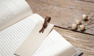 读书征文是什么意思 读书征文的解释