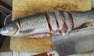 冷藏草鱼如何做 酸菜鱼做法