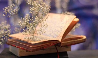 一物降一物是什么意思 一物降一物释义