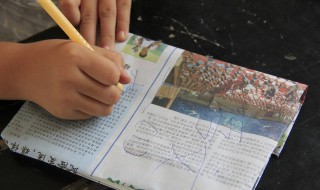 半径用什么字母表示 半径的符号是什么