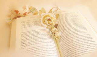 愣是什么意思 愣解释