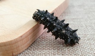 海参怎样储存 如何保存海参