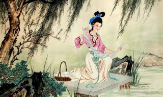 关于西施的资料 西施简介