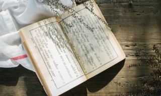 关于植树节的资料20字 有关于植树节的资料