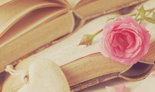 关于中国传统的资料 关于中国传统的资料介绍