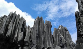 关于石林的资料 有关石林的介绍