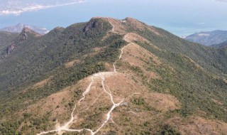 山上裂缝山脚下土堆鼓起是什么的预兆 山上裂缝山脚下土堆鼓起的预兆介绍