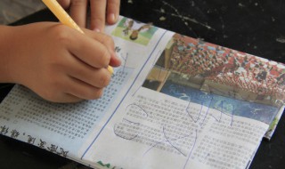 缰绳的意思 缰绳的意思是什么