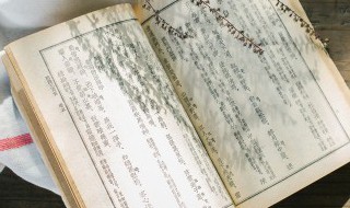 不负光阴不负己的意思 不负光阴不负己是什么意思