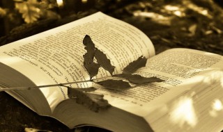 不含税价是什么意思 不含税价解释