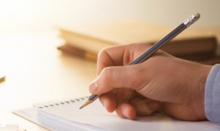 精致的致是什么意思 精致的致的含义