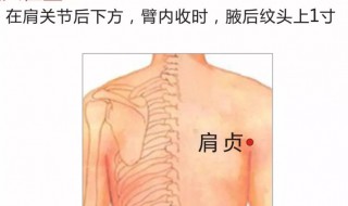 肩贞穴的位置和作用 肩贞穴的位置和作用分别是什么