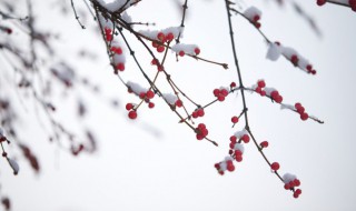 雪的网名什么好听 雪的网名精选