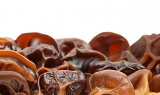 羊肉和木耳能一起吃吗 羊肉和木耳可以一起吃吗