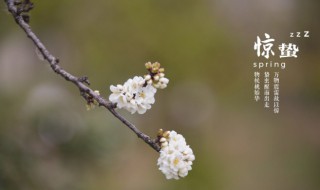 惊蛰日期固定吗 惊蛰日期是不是固定的