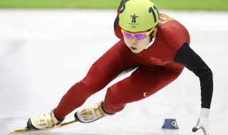 王濛被戏称为冬奥解说段子手猜猜她曾获得了几枚冬奥金牌 王濛共获得几枚冬奥金牌