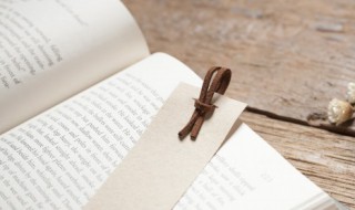 纪律审查和监察调查是什么意思 纪律审查和监察调查解释