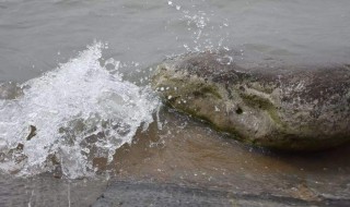 梦见水很浑浊 梦见水很浑浊是什么意思