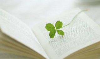 子开头的组词 子开头的组词有什么