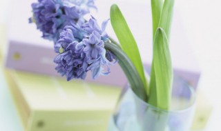 鸳字组词语 鸳字组词语有什么