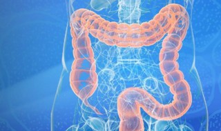 肠下垂有什么症状 肠下垂的症状有哪些