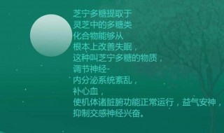 芝宁是什么 到底是不是药