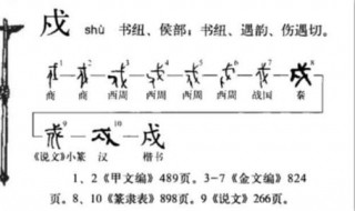 戊戌戍戎怎么读 你学会了吗