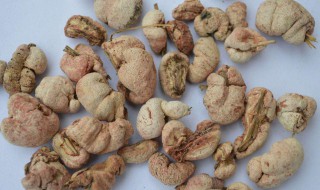 竹黄泡酒的功效与作用 快来了解一下吧