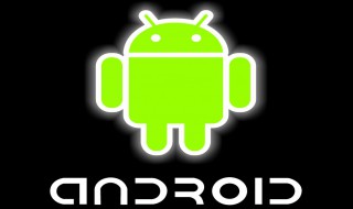 怎么升级安卓10 一加6/6t升级Android Q系统方法教程