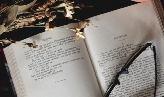 描写小狗外貌的句子 描写小狗外貌的句子有什么