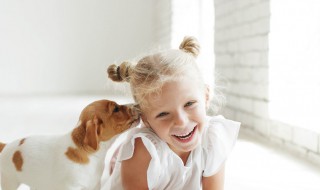 家有婴儿适合养什么狗 这九种狗狗可以胜任保姆角色