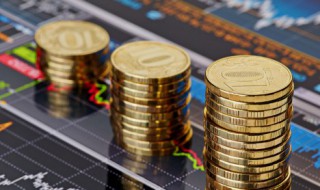 发行市盈率是什么意思 发行市盈率的意思解释