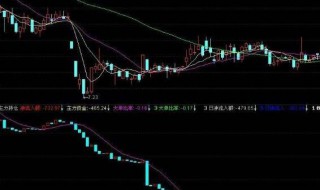 净流入额和大宗流入是什么意思 净流入额和大宗流入的含义
