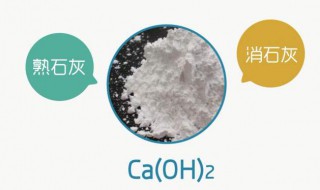 碱的化学特点 碱的介绍