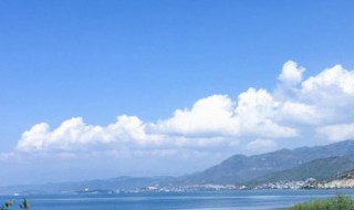 变形记作文我是一朵云 变形记我是一朵云的范文