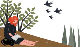 读书心得50 读书心得有哪些