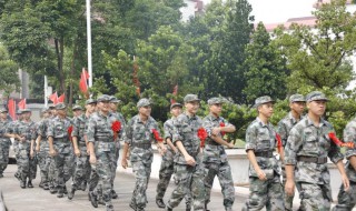 妈妈对新兵寄语 妈妈对新兵寄语有哪些