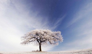 冬天下雪后适合发朋友圈的句子 冬天下雪后适合发朋友圈的句子有哪些