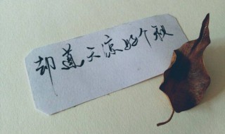 却道天凉好个秋全诗 作者是谁