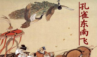 孔雀东南飞是什么意思 孔雀东南飞的故事发生在什么时候