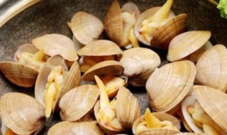 怎样做贝壳 贝壳的做法