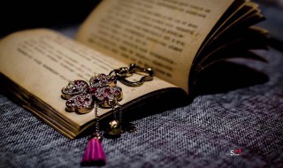 翩跹是什么意思 翩跹的意思