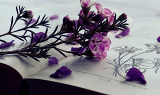 黯淡是什么意思 黯淡解释