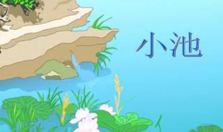 小池的作者是谁 小池的作者是哪位