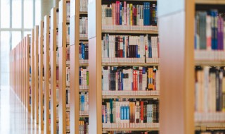 王维酬张少府原诗注释翻译赏析 王维酬张少府原文是什么