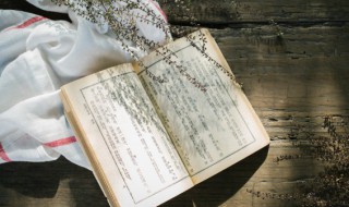 李白峨眉山月歌原文注释翻译与赏析 李白峨眉山月歌原文注释翻译与赏析介绍