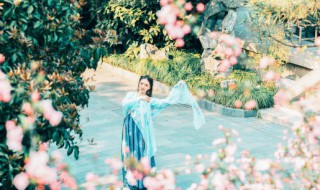 关于关于教师节的古诗 关于教师节的诗句