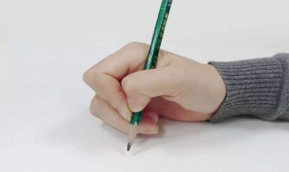 david什么意思 david解释